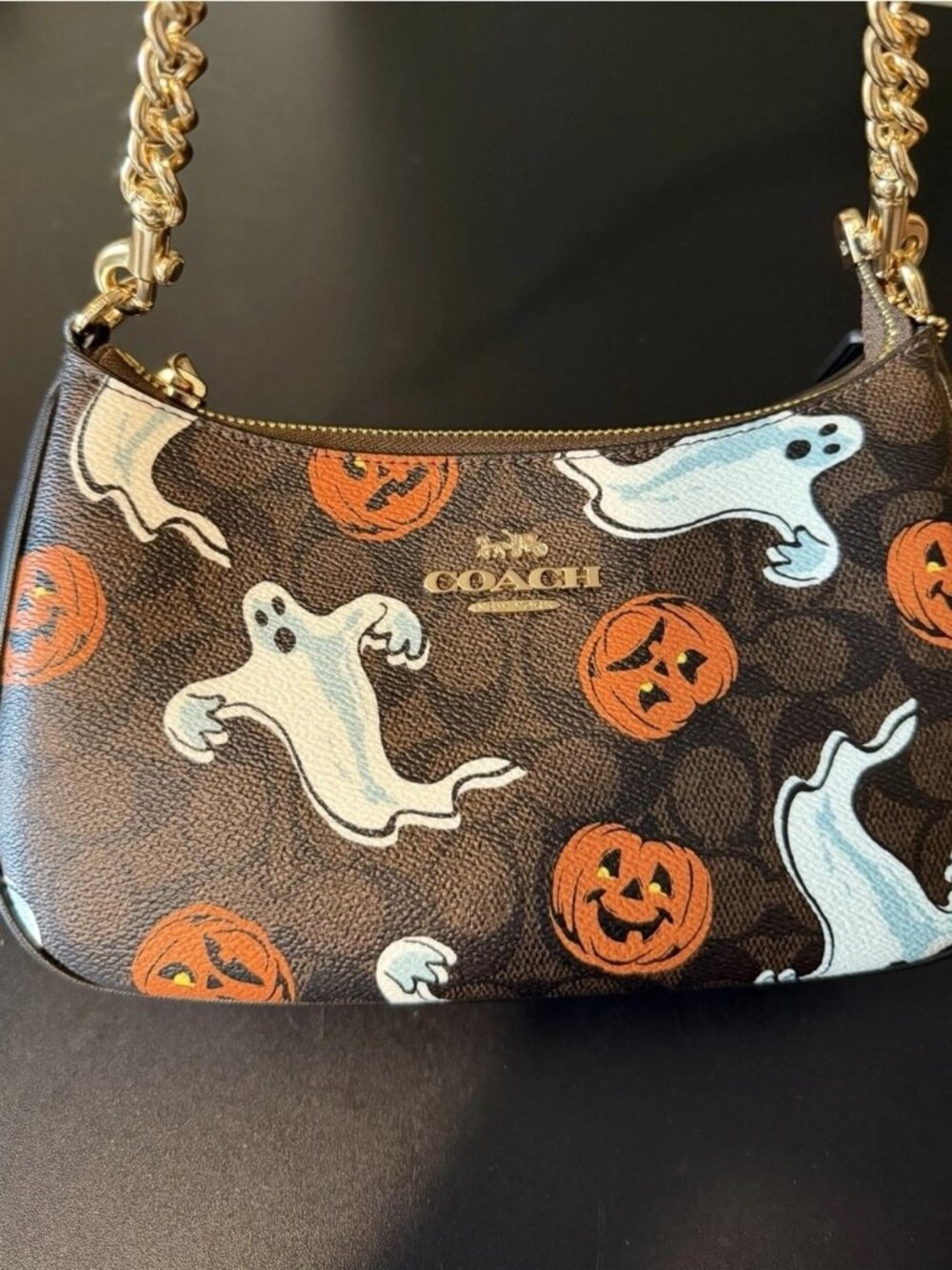 Limited Edition Coach Teri Bag Signature Canvas Halloween Ghost Pumpkin Motif